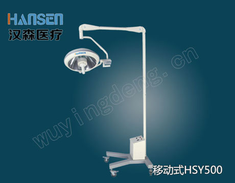 ʽӰHSY500